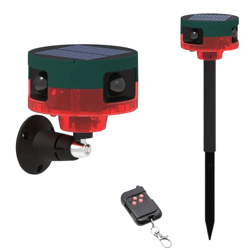 2024121710144117766-removebg-preview